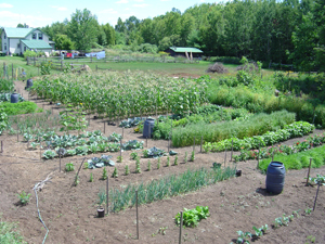 Mather's garden