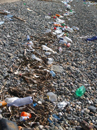 plastic washed up on a beach