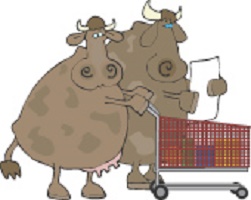 shopping cows