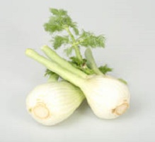fennel