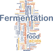 fermented foods are healthy