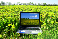 read Natural Life online
