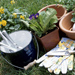 Organic Gardening Article Index