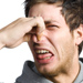 air fresheners are air pollutants