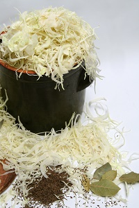 making sauerkraut in your home kitchen