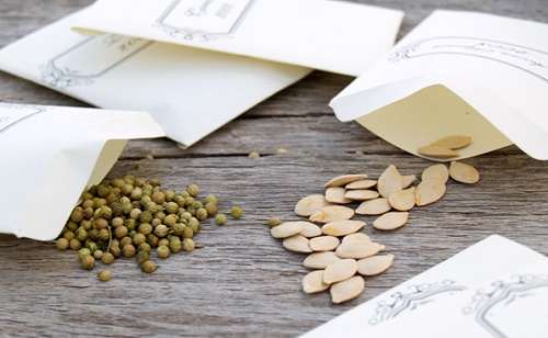 seed packets