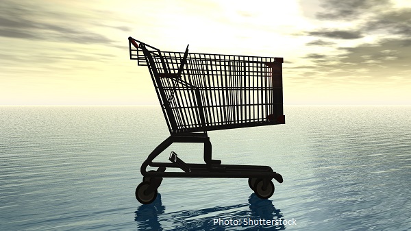 shopping cart
