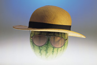 protecting from toxic sunscreen and bug repellant