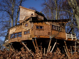 treehouse
