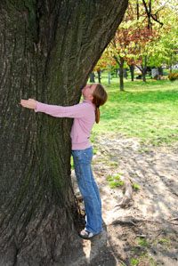 treehugger