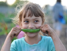 veggie kid
