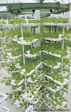 vertical farming