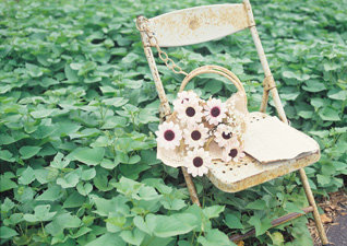 white chair in garden of simplicity